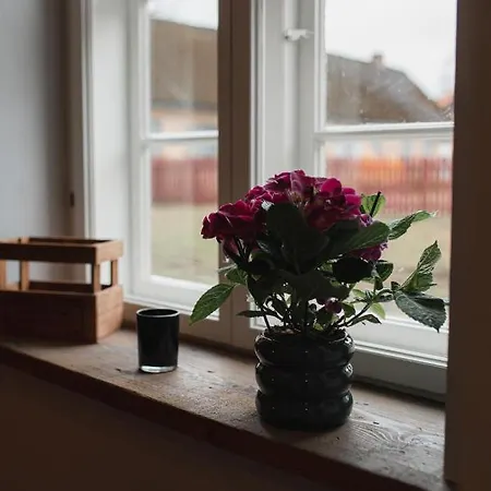 Raina Ielas Apartamenti R5 Kuldīga Exterior foto
